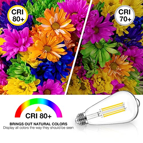 DAYBETTER 4 Pack Vintage LED Edison Bulbs, E26 Led Bulb 60W Equivalent, Dimmable Led Light Bulbs, High Brightness 800 LM Warm White 2700K