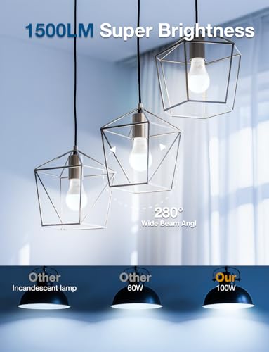 DAYBETTER LED Light Bulbs, A19 5000K Daylight Light Bulbs 100 Watt Equivalent, 1500LM Bright White Light Bulbs, E26 Standard Base (12 Pack)