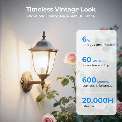 Dimmable Edison Bulbs, 4000K Daylight White, 6W Equivalent to 60 watt E26 LED Bulb, ST58 Vintage Light Bulbs, 600LM, 90+ CRI, E26 Base (6 Pack)