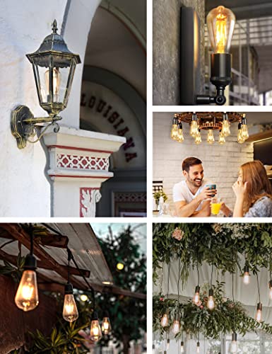 Dusk to Dawn Edison Light Bulbs ST19, Vintage Amber Glass, 2300K Amber Warm, 6.5W=60W, Non-Dimmable Auto