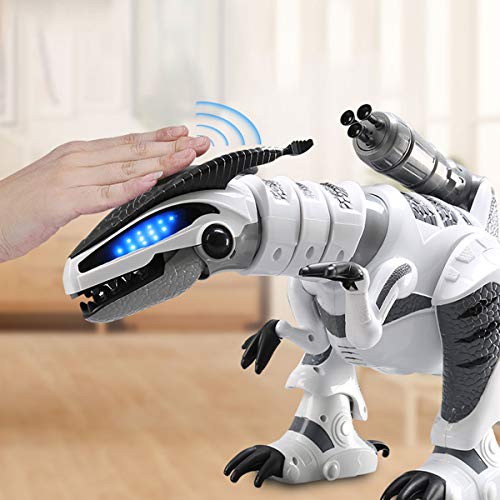Fistone RC Robot Dinosaur Intelligent Interactive Smart Toy Electronic Remote Controller Robot Walking Dancing Singing with Fight Mode Toys