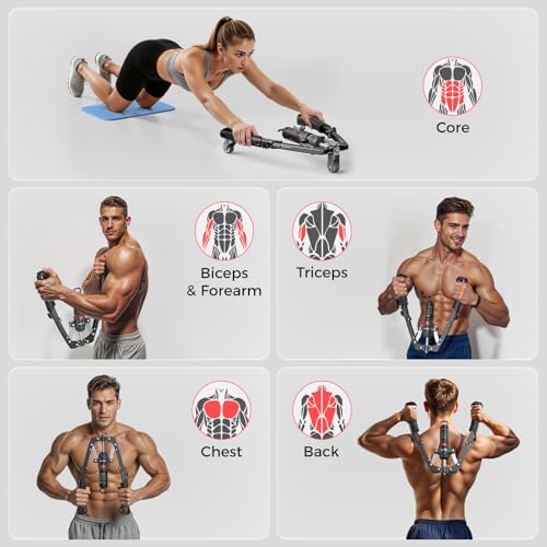 FLYBIRD Chest & Arm Twister & Core Trainer, Hydraulic Power CoreFlex Twister Chest Workout Equipment, 22-440lbs for Strength Trainer