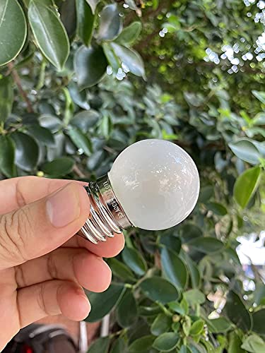 G40 1.5w Low Wattage Led Bulb Equivalent 15 Watt Standard E26 Base G14 Small Low Power Light Bulb, Frosted, Warm White 2700k, CRI 90 (Pack of 2)
