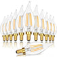 GoBright Dimmable E12 Candelabra LED Light Bulbs 40W Equivalent, 2700K Soft Warm White Chandelier Light Bulbs, 4W 460 LM Flame Tip Candle Light Bulbs
