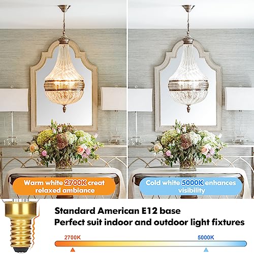 GoBright Dimmable E12 Candelabra LED Light Bulbs 40W Equivalent, 2700K Soft Warm White Chandelier Light Bulbs, 4W 460 LM Flame Tip Candle Light Bulbs
