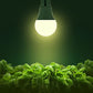 Grow Light Bulbs, Briignite LED Grow Light Bulb A19 Bulb, Full Spectrum Grow Light Bulb, Plant Light Bulbs E26 Base (2Pack)