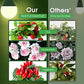 Grow Light Bulbs, Briignite LED Grow Light Bulb A19 Bulb, Full Spectrum Grow Light Bulb, Plant Light Bulbs E26 Base (2Pack)