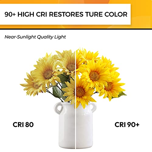 Hizashi 90+CRI Candelabra LED Light Bulbs 60 Watt, 2700K Warm White, E12 LED Bulb Dimmable, B11 Chandelier Light Bulbs, 6W, 550LM (12 Pack)