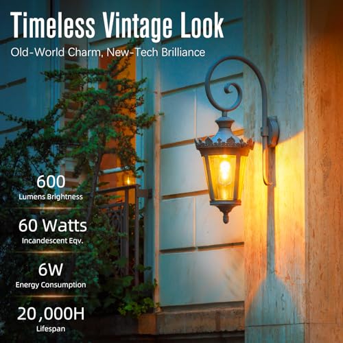 LED Edison Bulbs Dimmable, E26 Bulb 60 watt Equivalent, Soft White 2700K, ST58 Vintage Light Bulbs, 90+ CRI, 6W 600LM, E26 Medium Base (10 Pack)