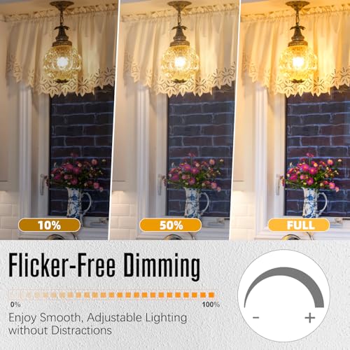 LED Edison Bulbs Dimmable, E26 Bulb 60 watt Equivalent, Soft White 2700K, ST58 Vintage Light Bulbs, 90+ CRI, 6W 600LM, E26 Medium Base (10 Pack)