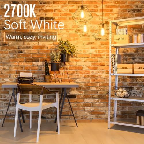 LED Edison Bulbs Dimmable, E26 Bulb 60 watt Equivalent, Soft White 2700K, ST58 Vintage Light Bulbs, 90+ CRI, 6W 600LM, E26 Medium Base (10 Pack)