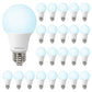LED Light Bulbs Daylight 5000K, 60 Watt Equivalent LED Bulbs, A19 Standard Bulbs, 800 LM, 15000 Hours, E26 Base, Non-Dimmable