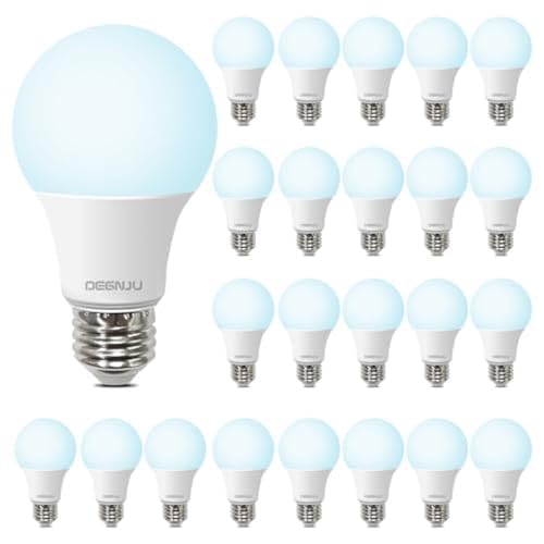 LED Light Bulbs Daylight 5000K, 60 Watt Equivalent LED Bulbs, A19 Standard Bulbs, 800 LM, 15000 Hours, E26 Base, Non-Dimmable