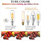 LiteHistory LED Bulb Dimmable 6W Equal Warm White 2700K T6 T25 E12 Candelabra Bulb 60 watt for Chandeliers, Ceiling Fan, Pendant