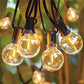 Meconard G40 1.57 Inch Led Replacement Light Bulbs, E12 Screw Base Shatterproof LED Small Globe Light Bulbs for Outdoor String Lights (25Pack)