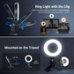 NEEWER Basic 5" Ring Light for Video Conference Lighting, Clip on Light Kit with Desk Tripod Stand