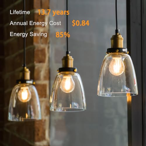 TJOY 12 Pack A19 Vintage LED Edison Bulbs, Dimmable, 60W Equivalent, High Brightness 2700K Warm White, 8W E26 Standard Base, 800 Lumens, CRI80