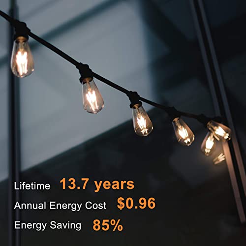 TJOY 12 Pack Vintage 8W ST58 LED Edison Light Bulbs, Dimmable, 60W Equivalent, 800Lumens, 2700K Warm White, E26 Base LED Filament Bulb, CRI80