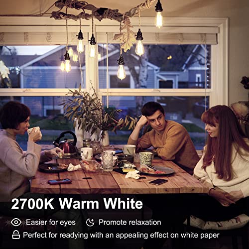 TJOY 12 Pack Vintage 8W ST58 LED Edison Light Bulbs, Dimmable, 60W Equivalent, 800Lumens, 2700K Warm White, E26 Base LED Filament Bulb, CRI80