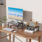 WALI Computer Monitor Stand for Desk, Adjustable Laptop Riser, Desk Monitor Stand Underneath Storage for Office, Home (Black)